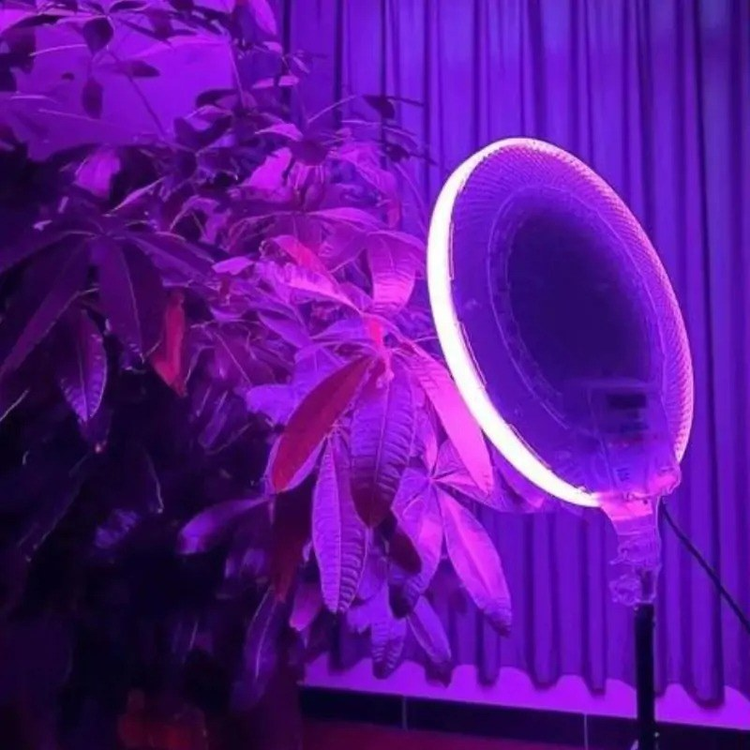 نور ثابت ال ای دی RGB CS 2600